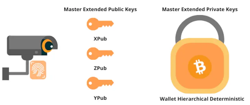 ¿Qué es un xpub, ypub o zpub?