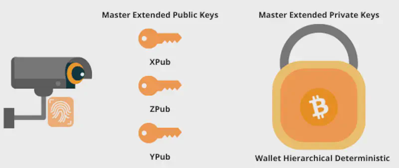 What is xpub, ypub and zpub?