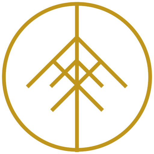 Vulcan 21 logo